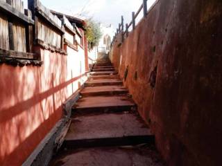 Zona