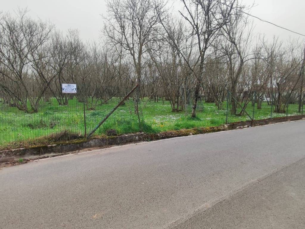 Terreno agricolo via bosco magliano, montefredane