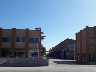 Zona