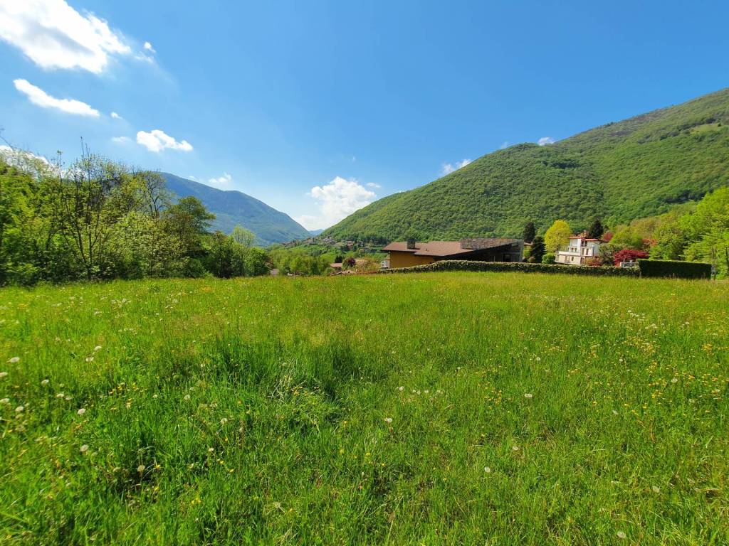 Terreno edificabile via gavazzuolo, gotti gavazzuolo, albino