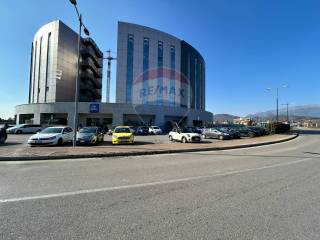 Zona