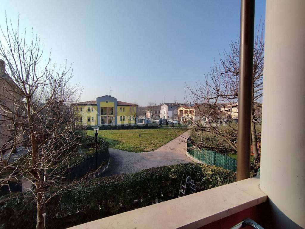 Vista