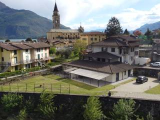 Vista