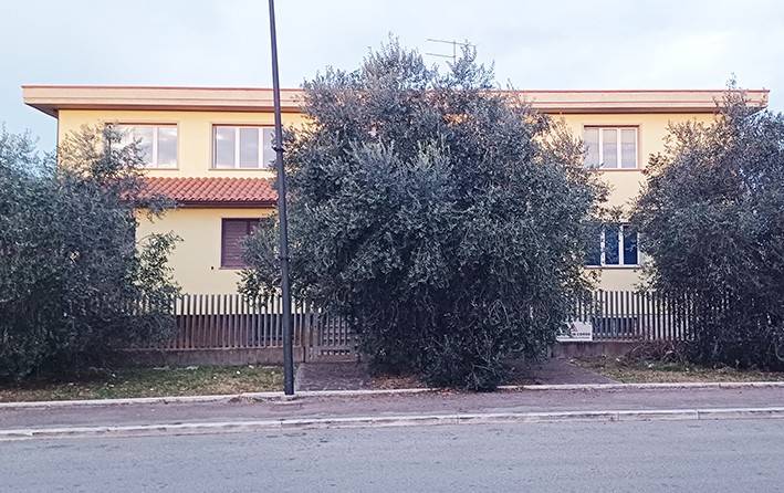 Capannone all'asta via siria 89, grosseto