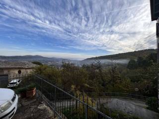 Vista