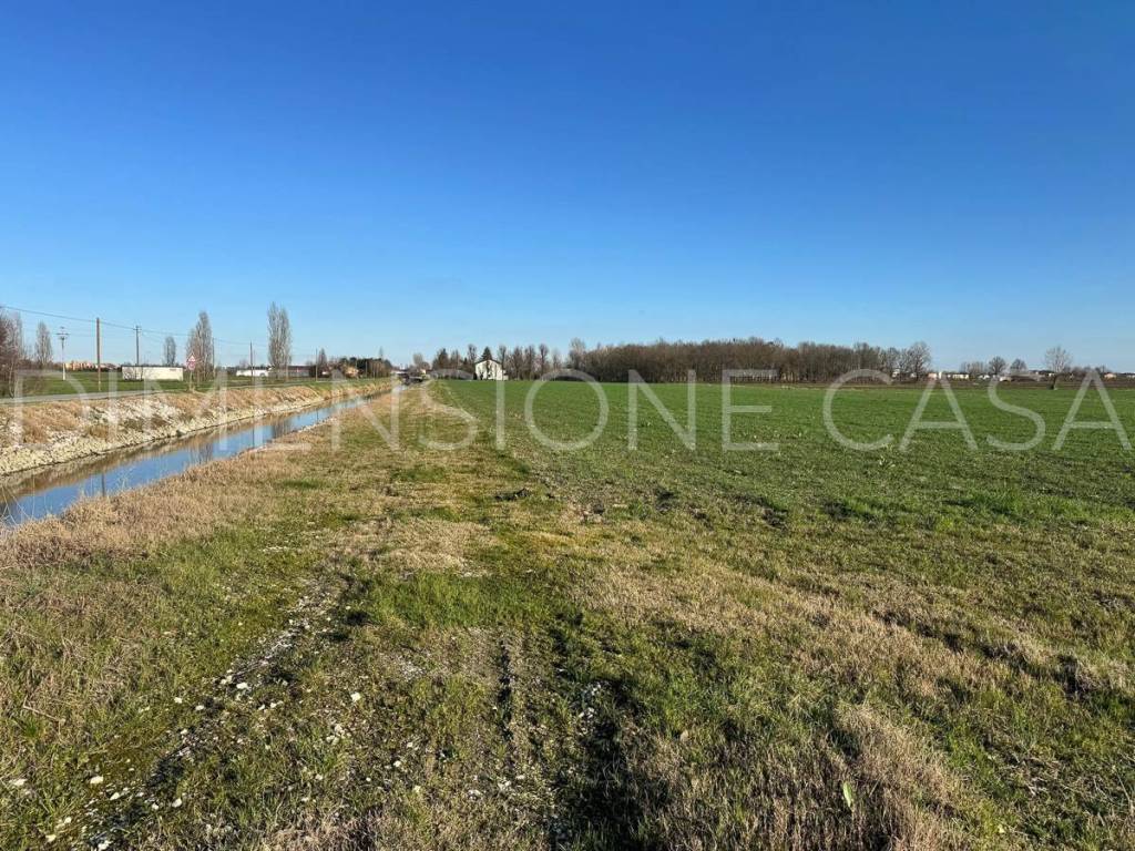 Terreno agricolo, carrobbio zeni, mirandola
