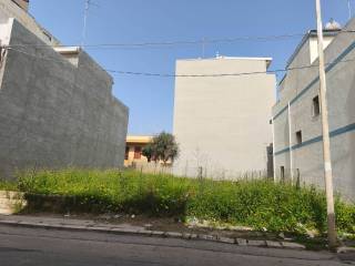 Zona