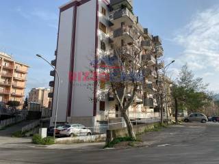 Zona