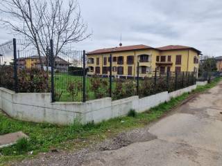 Zona