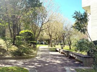 Zona