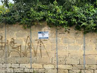 Zona