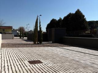 Zona