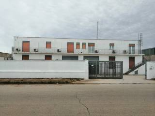 Zona