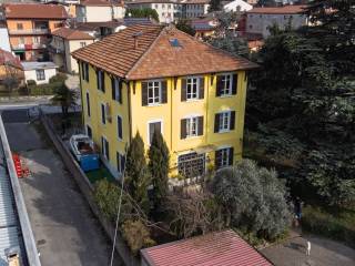 Vista