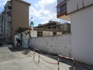 Zona