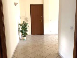 Ingresso