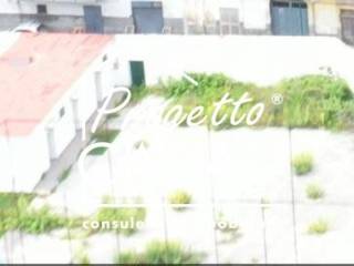 Zona