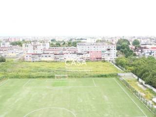 Vista