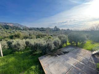 Vista