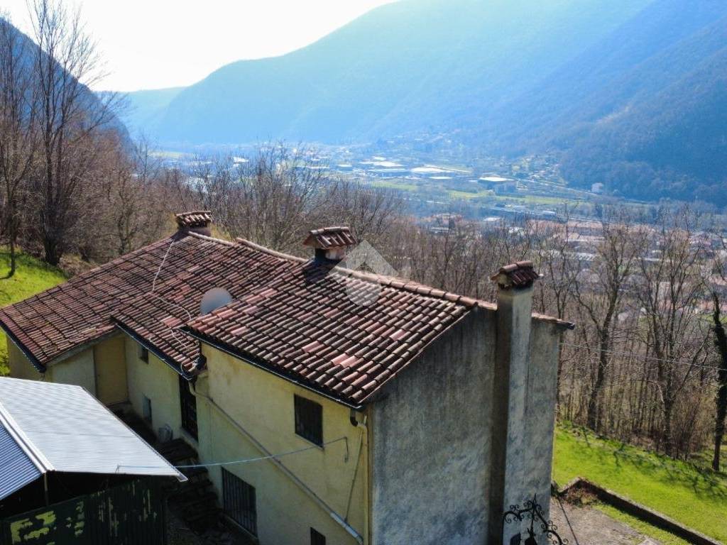 Vista
