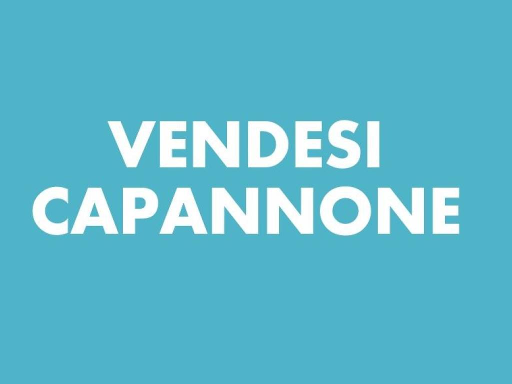 Capannone, olmo, martellago