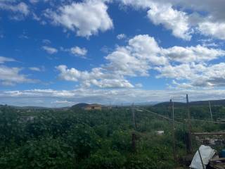 Vista