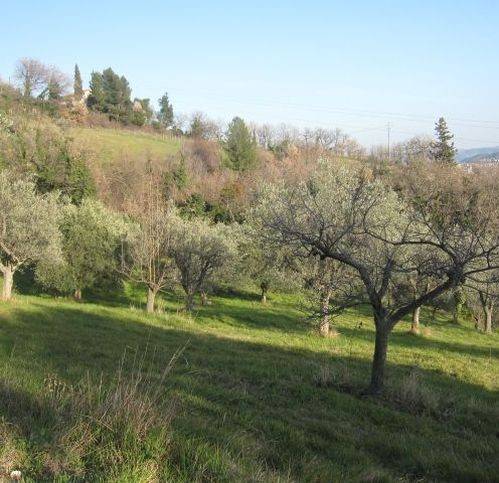 Terreno agricolo monterocco, ascoli piceno