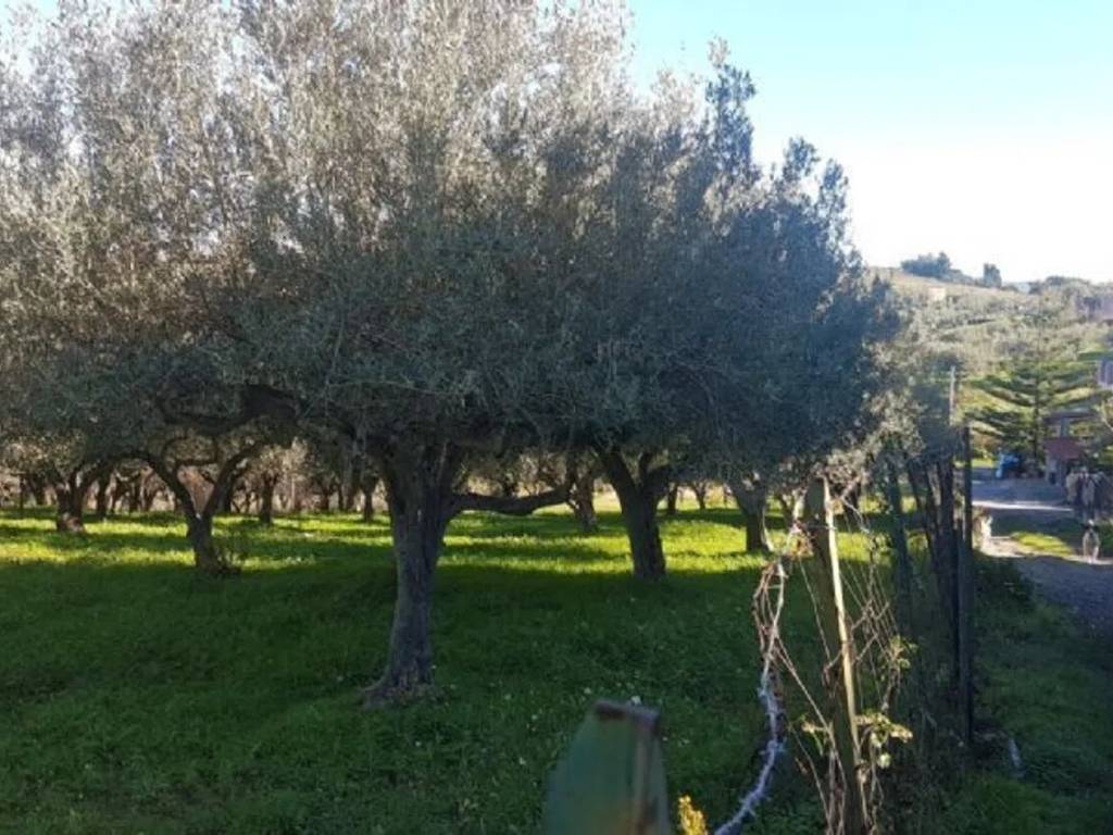 Terreno non edificabile, centro, barcellona pozzo di gotto