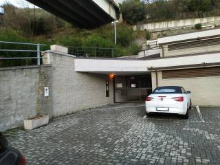 Zona