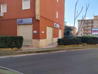 Zona