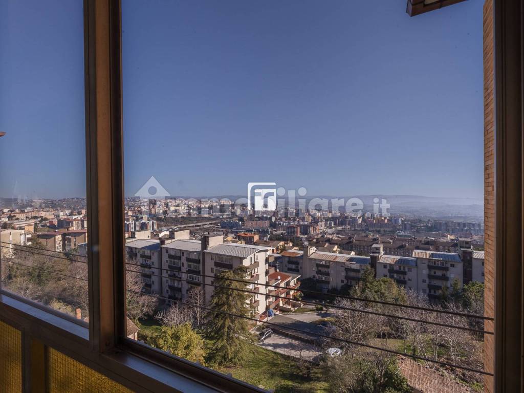 Vista