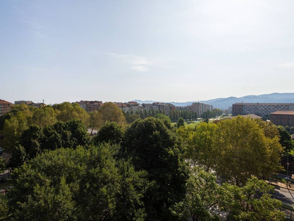 Vista