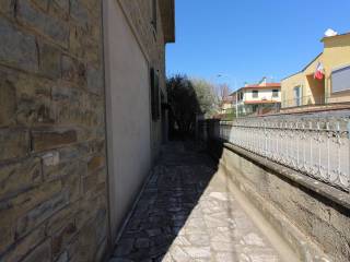 Zona