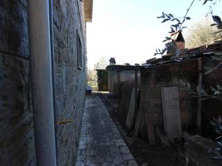 Zona