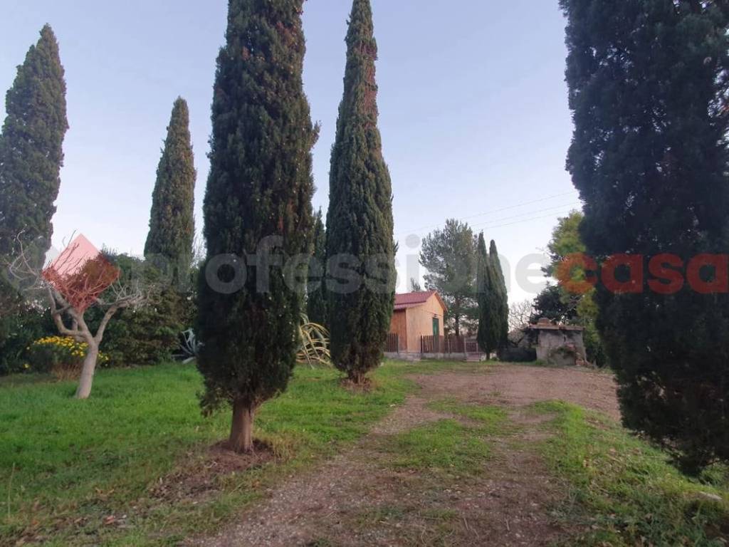 Terreno agricolo, limoncino - valle benedetta, livorno