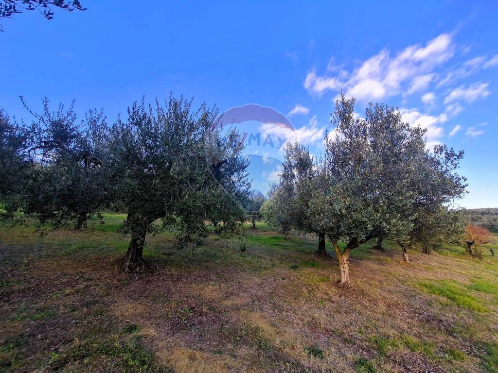 Terreno agricolo, fontechiaro, francavilla al mare