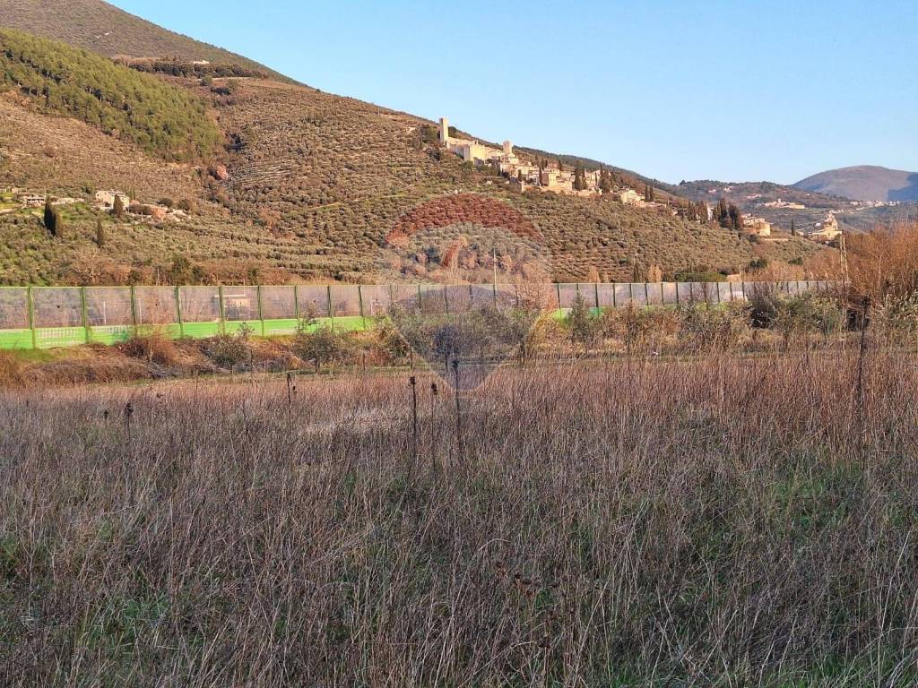 Terreno agricolo loc. pigge snc, corciano pigge, trevi