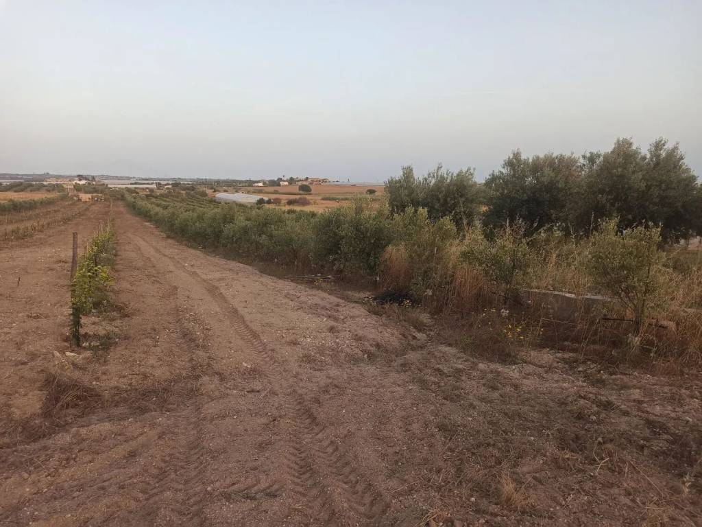Terreno non edificabile sp 22 san c., noto