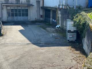 Zona