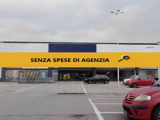 Zona