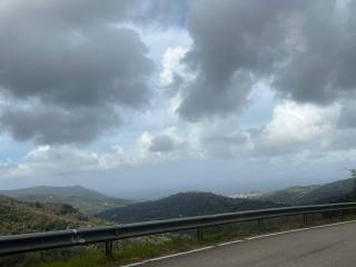 Vista