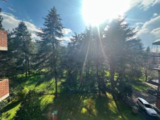 Vista