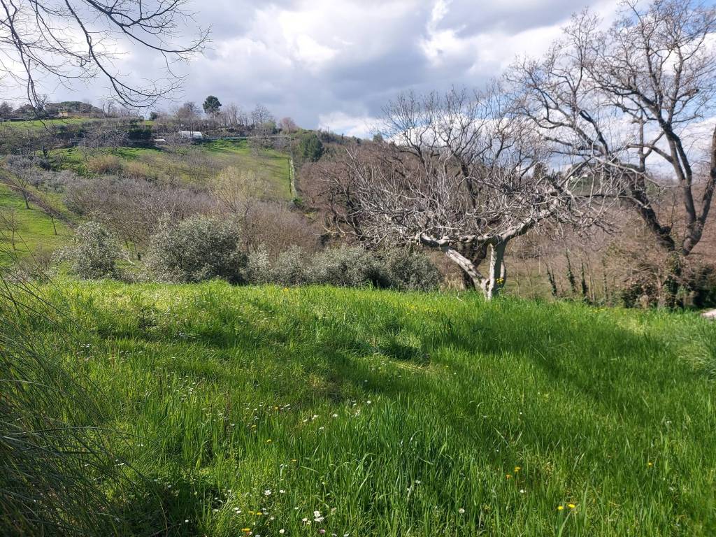 Villa bifamiliare strada fosso fogliano, villa fastiggi, pesaro