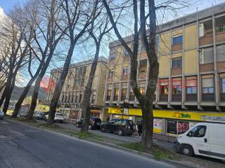 Zona