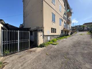 Ingresso