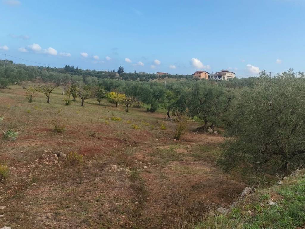 Terreno agricolo via santa lucia, corato