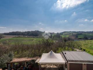 Vista