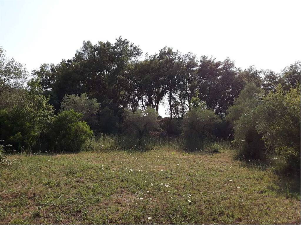 Terreno agricolo, itri