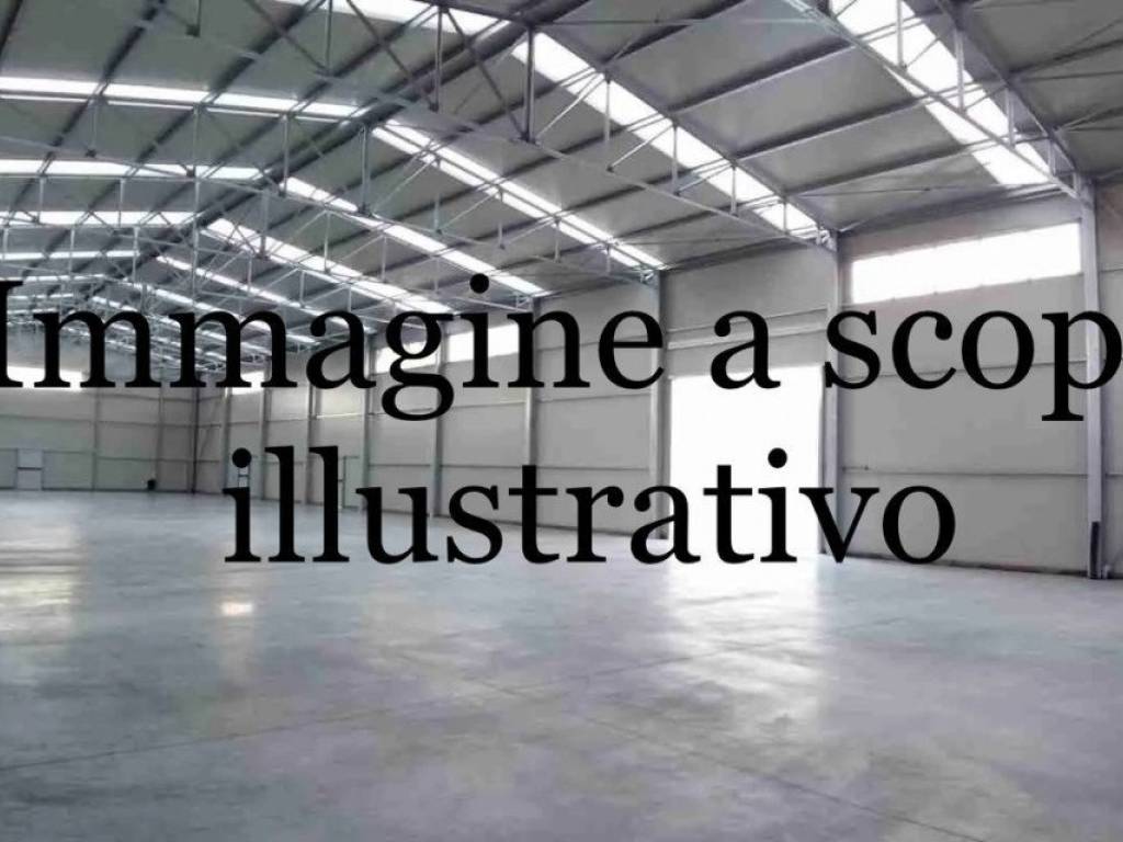 Capannone, centro, casale di scodosia