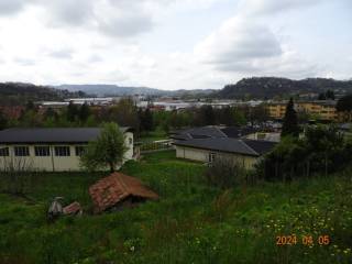 Vista